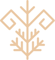 Logo beeldmerk Kumppani uitleg